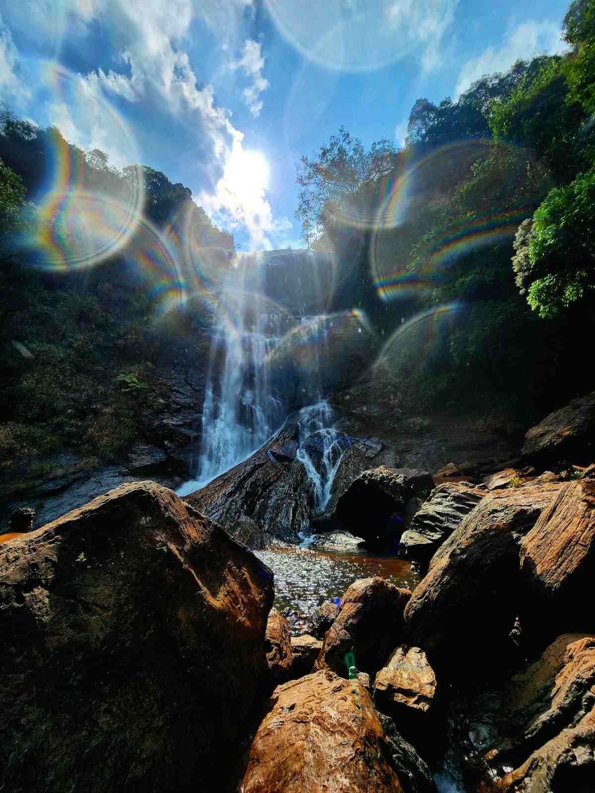 environment